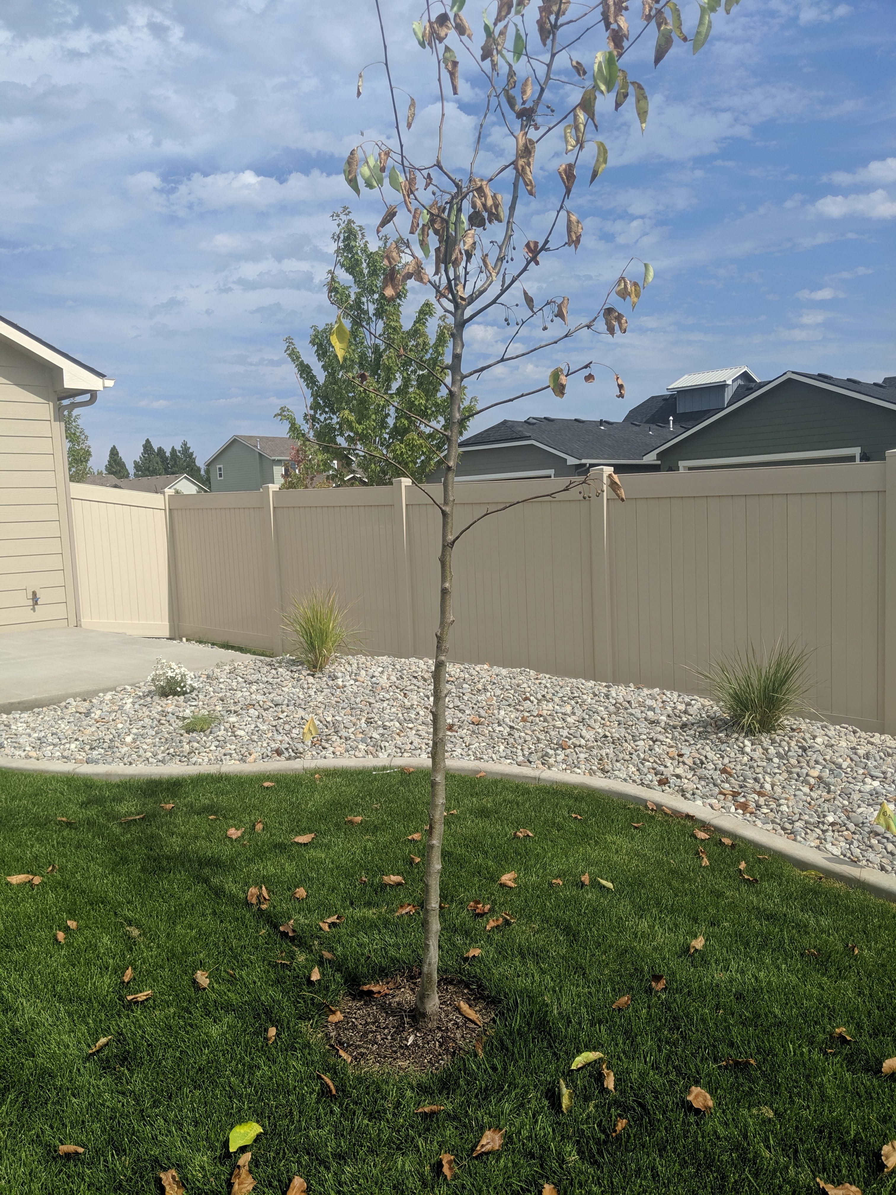 Inland Sprinklers & Landscaping Honesty, Integrity, and Work Ethic